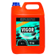 Can 5 L Vigor Fresh Force