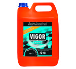 Kanister 5 L Vigor Fresh Force