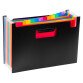 Sorting folder with bellows Viquel 12 divisions multicolored