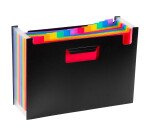 Trieur à soufflet Viquel 12 divisions multicolores