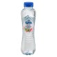 Spa reine subtle raspberry apple - pack 24 bottles of 50 cl 