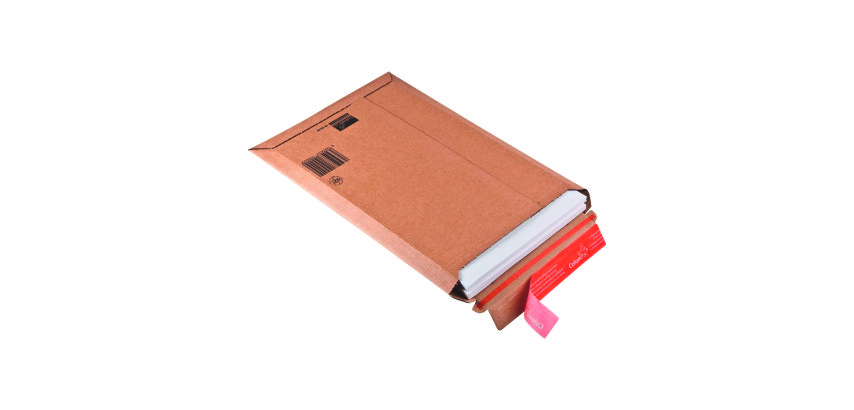 Universal cardboard shipping case for books