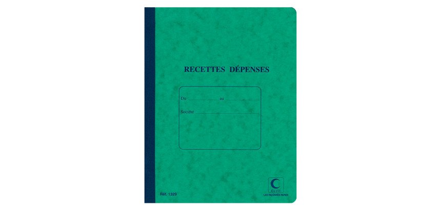 Carnet piqué Recettes - Dépenses, 220 x 170 mm - 80 pages