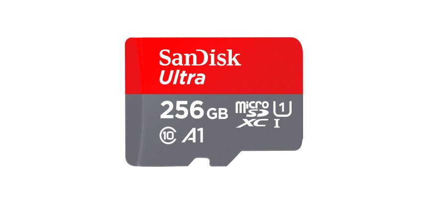 Carte mémoire micro SDHC 256 Go SANDISK avec adaptateur SDHC - classe 10