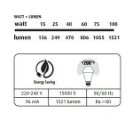Ampoule LED Standard - E27 100W