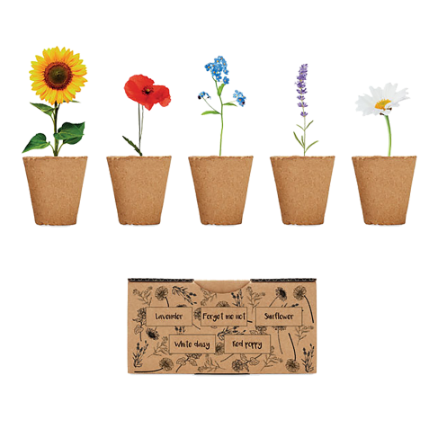 Kit de cultivo de flores