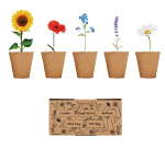 Kit de cultivo de flores