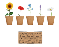 Kit de cultivo de flores