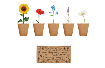 Kit de cultivo de flores