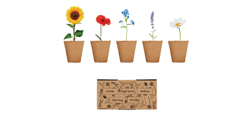 Kit de cultivo de flores