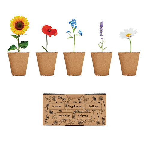 Kit de cultivo de flores