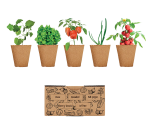 Kit de cultivo de verduras