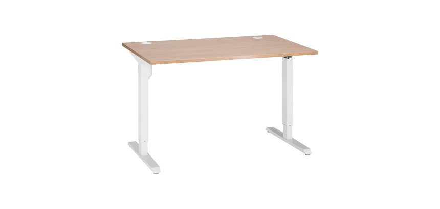Mesa con regulación en altura eléctrica 120 x 80 cm ErgoSup