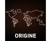 Café Carte Noire Classique dosette - Paquet de 36