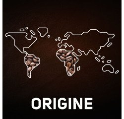 Pack of 36 coffee pads Carte Noire Classic
