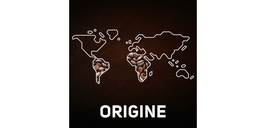 Pack of 36 coffee pads Carte Noire Classic