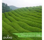 Thé vert Matcha Ginseng - boîte de 20 sachets