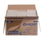 Paper handkerchiefs Lucart Econatural intertwined - box of 3000