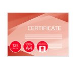 Boîte 100 pochettes de plastification HighSpeedPouch A4 2 x 125 µ GBC