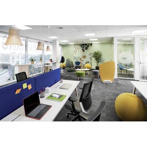 Ballon ergonomique Alba Ergoball