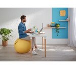 Ballon d'assise Leitz Ergo Cosy