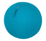 Ballon ergonomique Leitz Ergo Cosy