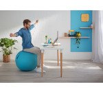 Ballon d'assise Leitz Ergo Cosy