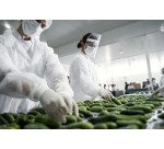 Guanti monouso Reflexx® 46 in lattice bianco senza polvere, 100 unità