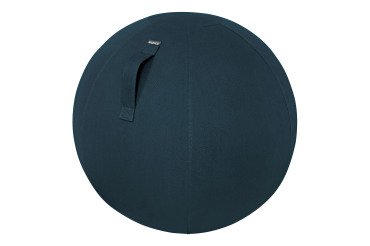 Ballon ergonomique Leitz Ergo Cosy