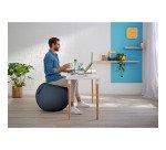 Ballon d'assise Leitz Ergo Cosy