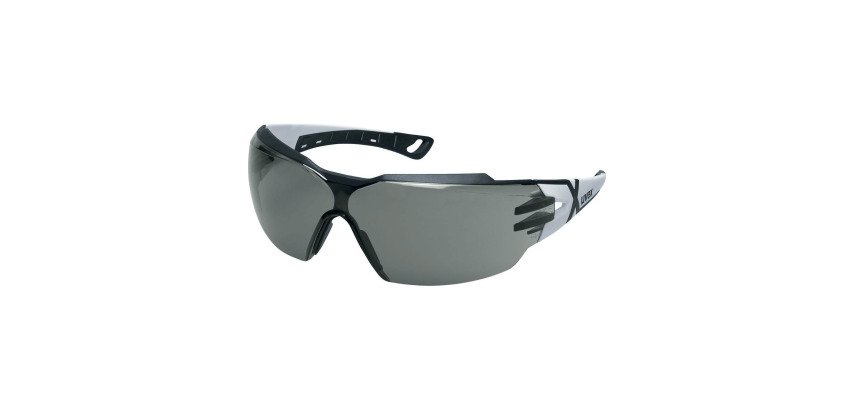 Schutzbrille Uvex Pheos CX2, grau