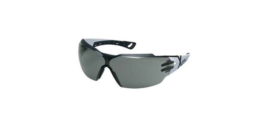 Gafas de protección Uvex Pheos CX2, gris