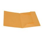 Cartellina 3 lembi Manilla Bruneau c-stampa 50 pz