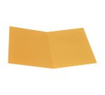 Cartellina sempl s-stampa Pannosa Bruneau 100 pz