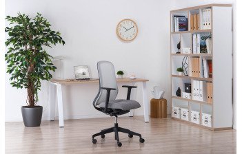 Bureaux de télétravail