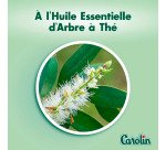 Lingettes nettoyantes extra-larges Carolin anti-bactérien - Arbre à thé - Paquet de 80