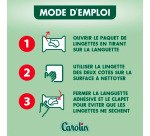 Lingettes nettoyantes extra-larges Carolin anti-bactérien - Eucalyptus - Paquet de 80