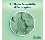 Lingettes nettoyantes extra-larges Carolin anti-bactérien - Eucalyptus - Paquet de 80