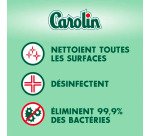 Lingettes nettoyantes extra-larges Carolin anti-bactérien - Eucalyptus - Paquet de 80