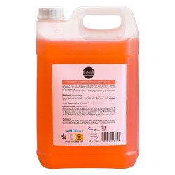 Hand soap Topmain peach - bottle of 5 L