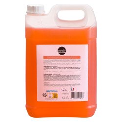 Savon liquide pêche Boldair – bidon de 5 litres