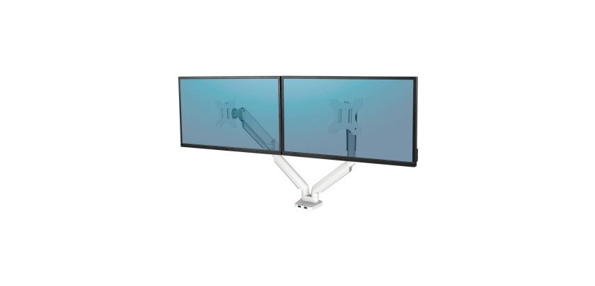 Braccio Monitor Doppio Fellowes Platinum Bianco