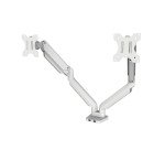 Braccio Monitor Doppio Fellowes Platinum Bianco