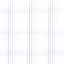 Cahier spirale budget A4 21 x 29,7 cm petits carreaux 100 pages