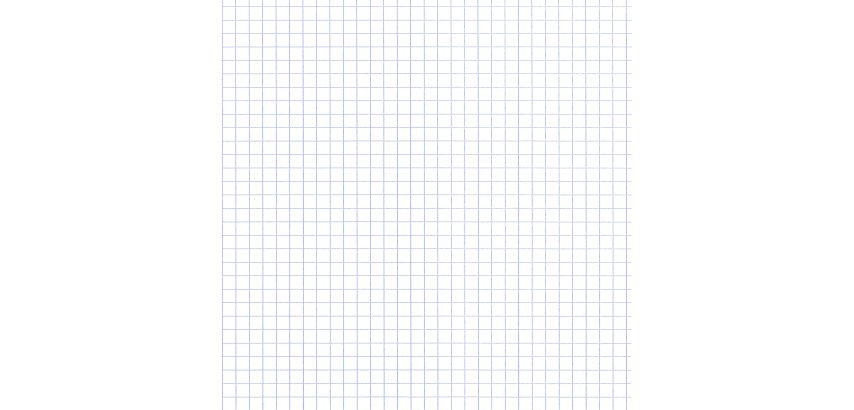 Spiral-bound budget notebook A4 21 x 29.7 cm, small squares 100 pages
