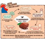 Oursons guimauve et chocolat au lait CEMOI - Boîte de 80