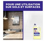Nettoyant multi-usages Citron Mr Propre Professionnal - Bidon de 5 L