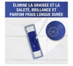 Nettoyant multi-usages Citron Mr Propre Professionnal - Bidon de 5 L