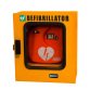 Teca da esterno standard per defibrillatore, 42,5 x 21,5 x 48 cm