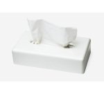 Distributeur mouchoirs mural Tork plastique blanc